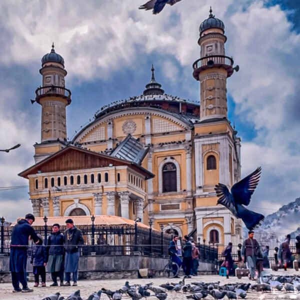 The distinctive yellow facade of Shah-Do Shamshira Mosque in Kabul, with pigeons flying and gathering in the foreground.